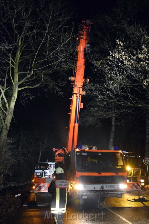 Container LKW umgestuerzt Koeln Brueck Bruecker- Dellbruecker Mauspfad P558.JPG - Miklos Laubert